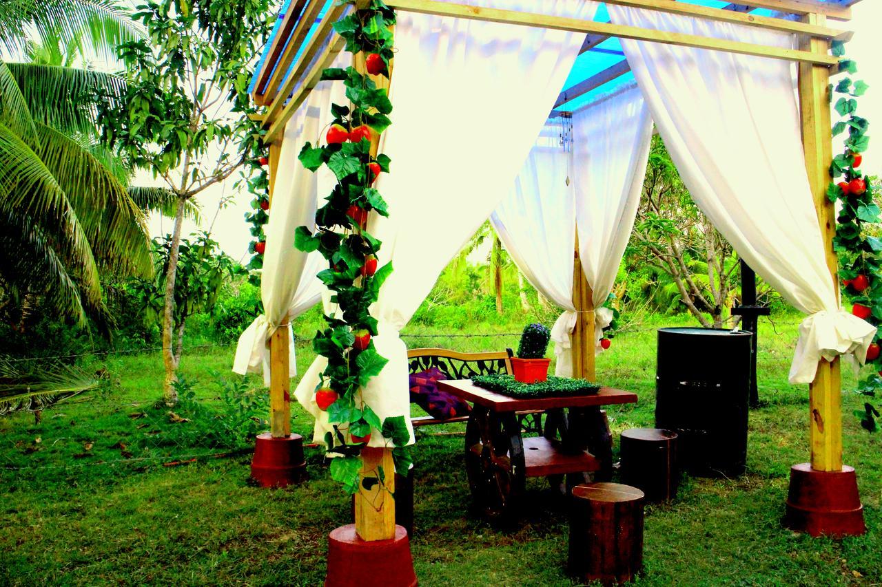 Sea Breeze Hostel - Alona Beach Panglao Eksteriør bilde